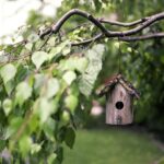 Futterhaus für Vögel
