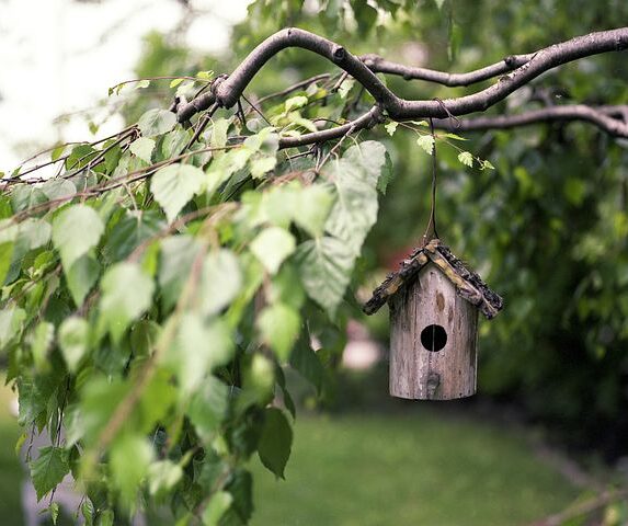 Futterhaus für Vögel